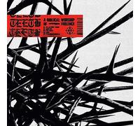 Biblical Worship Of Violence [Vinilo]