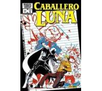 Biblioteca Caballero Luna 6