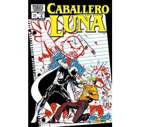 Biblioteca Caballero Luna 6