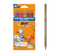 Caja de Lápices de Colores Bic Evolution Stripes de 12 Colores Surtidos