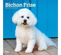 Bichon Frisé 2027 - 16-Monatskalender: Original BrownTrout-Kalender [Mehrsprachig] [Kalender] (Bichon Frise | 2027 12 x 24 Inch (Hanging) Monthly ... | BrownTrout | Animals Dog Breeds)