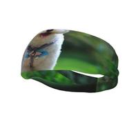 Bichon Frise Bokeh Mascotas Perros Parque Perros Blancos Cintas para el pelo para hombres y mujeres Diadema para correr Diadema que absorbe el sudor Gimnasio