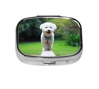 Bichón Frisé Bokeh Mascotas Perros Parque Perros Blancos, Pastillero cuadrado para bolsillo o monedero, pequeño contenedor de pastillas, organizador de pastillas de viaje