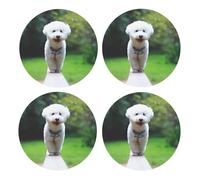 Bichón Frisé Bokeh Mascotas Perros Parque Perros Blancos,Posavasos Redondos de Corcho MDF, Almohadilla para Tazas, Juego de 4 Posavasos para Bebidas