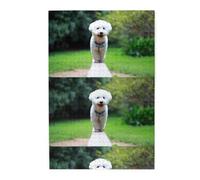 Bichón Frisé Bokeh Mascotas Perros Parque Perros Blancos, Rompecabezas de 1000 Piezas, Rompecabezas de Madera para Toda la Familia, decoración de Pared para Adultos y Adolescentes.