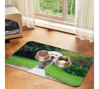 Bichón Frisé Bokeh Mascotas Perros Parque Perros Blancos,Tapete para Comida de Mascotas, manteles Individuales de Cuero sintético para Gatos y Perros,40x60cm