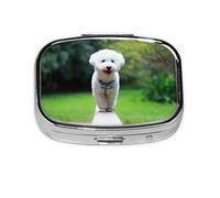 Bichon Frise Bokeh Pets Dogs Park - Pastillero con 2 compartimentos, organizador portátil