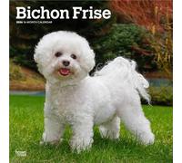 Bichon Frise | Calendario mensual cuadrado de pared 2026 de 12 x 24 pulgadas (colgado) | Sin plástico | BrownTrout | Animales razas de perros
