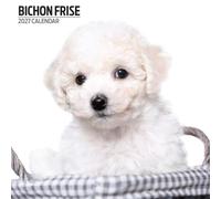 Bichon Frise - Calendario moderno 2027