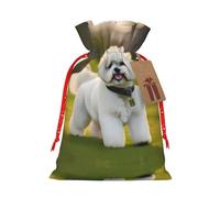 Bichon Frise Dog On The Grass 1 bolsa con cordón de 8.3 x 11.8 pulgadas, duradera y elegante, ideal para regalos personalizados de Halloween