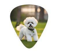 Bichon Frise Dog On The Grass Print - Púas de guitarra para guitarras y ukelele, regalo único de guitarra