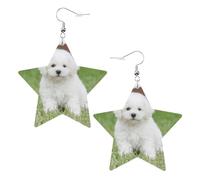 Bichon Frise Dog - Pendientes de moda para mujer, aretes colgantes celestiales, joyería en forma de estrella para una versatilidad, One Size, Cuero