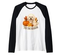 Bichon Frise Dog Tis The Season Otoño Otoño Calabaza Especia Camiseta Manga Raglan