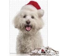 Bichon Frise Dog with Santa Hat Portrait Puzzles Imposible,desafío para Adultos Juego Educativo 1000 Piezas Obra De Arte De Juego De para Adultos Y Niños 1000pcs (75x50cm)