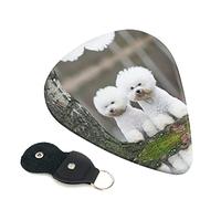 Bichon Frise Guitar Plectrum Juego de 6 piezas para guitarra acústica, guitarra eléctrica, bajo, ukelele: fino, mediano y grueso