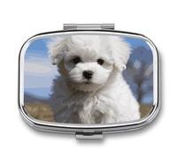 Bichon Frise - Pastillero portátil con 2 compartimentos, con espejo para bolsillo, bolso de viaje, mini organizador de medicamentos de metal para vitaminas y aceite de pescado