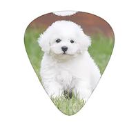 Bichon Frise - Púas de guitarra para perro, clásicas, triangulares, acústicas y eléctricas, para guitarristas, 12 piezas