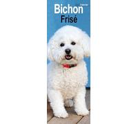 Bichon Frise Slim