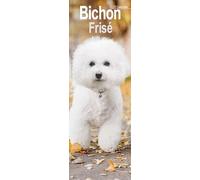 Bichon Frise Slim Calendar 2025 Dog Breed Slimline Calendar - 12 Month