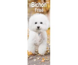 Bichon Frise Slim Calendar 2025 Dog Breed Slimline Calendar - 12 Month