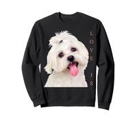 Bichon Maltesa Camisa Perro Mamá Papá Cachorro Bichon Frise Malta Sudadera
