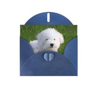 Bichon On The Grass - Tarjetas de felicitación en blanco para cumpleaños, día de San Valentín, fiestas, bodas, 10,2 x 15,2 cm, sobre azul