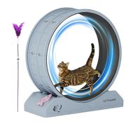 Bicicleta de Carreras para Gatos, Bicicleta de Entrenamiento para Gatos | Equipo de Fitness para Gatitos | Gran Rueda de Chat - Ejercicio Para El Interior Alfombra Caminadora Con Teaser