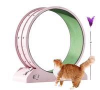 Bicicleta de ejercicio para gatos | Equipo de entrenamiento tranquilo para gatitos | Bicicleta de correr con teaser para gatos interiores para pérdida de peso, cinta de correr para gatitos con poco
