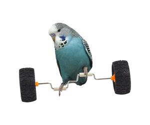 Bicicleta de equilibrio para loros, juguete interactivo para entrenamiento de loros, divertido enriquecimiento de inteligencia, vehículo de equilibrio para el hogar, tienda de mascotas, mesa de vidrio