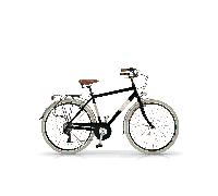 Bicicleta de paseo Airbici ELEGANCE Man- 6 Velocidades, Ruedas 700x38C Verde Oasi 54