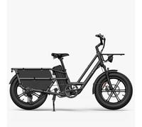 Bicicleta eléctrica de cargo Fiido T2 Longtail 2025 Gris