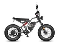 Bicicleta eléctrica Fafrees F20 Ultra 750W batería 48V 25Ah doble suspensión gris