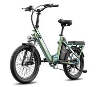 Bicicleta Eléctrica Plegable Fafrees F20 Flex 250W 36V 20Ah Verde Morado