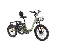 Bicicleta eléctrica YOUIN Dover BK6000 triciclo plegable motor central 250W 100 km autonomía