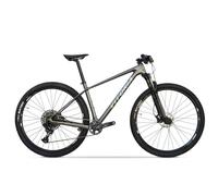Bicicleta Vitoria SIOUX PRO METALIC Shimano