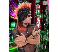 BICOLOUR PUNK CREST WIG W/TAIL (pink/ppl/grn/red/blue/orang)