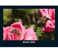 Bienen 2026 Fotokalender DIN A5: Monatskalender mit Bild-Motiven von Haustieren, Bauernhof, wilden Tieren und Raubtieren