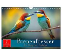 Bienenfresser - im Flug der Farben (Wandkalender 2026 DIN A4 quer), CALVENDO Monatskalender: Die Gefiederpracht strahlt in voller Intensität.