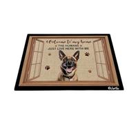 Bienvenido A Mi Casa - Perro Belga Malinois Tapete para Puerta Fácil De Limpiar Felpudo De Bienvenida Divertidos Felpudo De Entrada para Interior Trasera Delantera Cuarto 40X60 Cm
