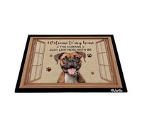 Bienvenido A Mi Casa - Perro Boxer Alfombra Puerta Antideslizante Felpudo De Bienvenida Fácil De Limpiar Felpudo De Entrada para Cocina Interior Cuarto 40X60 Cm