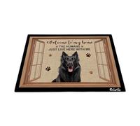 Bienvenido A Mi Casa - Perro Pastor Belga Felpudo De Bienvenida Duradero Tapete para Puerta Suave Felpudo De Entrada para Entrada Casa Cuarto Pasillo 40X60 Cm