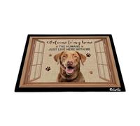 Bienvenido A Mi Casa - Perro Perdiguero De La Bahía De Chesapeake Felpudo De Bienvenida Suave Felpudo De Entrada Antideslizante Tapete para Puerta para Interior Trasera Delantera 40X60 Cm