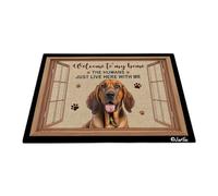 Bienvenido A Mi Casa - Perro Sabueso Felpudo De Bienvenida Antideslizante Tapete para Puerta Suave Alfombra De Baño para Jardín Trasera Delantera Cocina 40X60 Cm