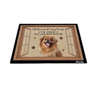 Bienvenido A Mi Casa - Perro Spaniel Tibetano Felpudo De Entrada Antideslizante Alfombra Puerta Duradero Tapete para Puerta para Entrada Casa Pasillo Trasera Delantera 40X60 Cm