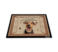 Bienvenido A Mi Casa - Perro Welsh Terrier Felpudo De Bienvenida Suave Alfombra Puerta Fácil De Limpiar Felpudo De Entrada para Entrada Casa Interior Cocina 40X60 Cm