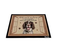 Bienvenido A Mi Casa - Springer Spaniel Inglés Felpudo De Bienvenida Fácil De Limpiar Felpudo De Entrada Antideslizante Alfombra De Baño para Trasera Delantera Jardín Pasillo 40X60 Cm