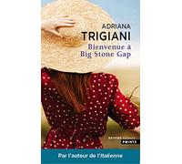 Bienvenue à Big Stone Gap (Les Grands Romans)