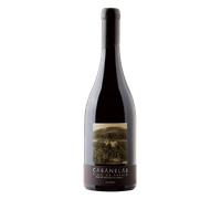 Bierzo Cabanelas Vino de Paraje 2021