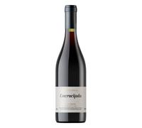 Bierzo Encrucijada 2022