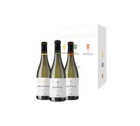 Bierzo Estuche El Godello Hecho Arte